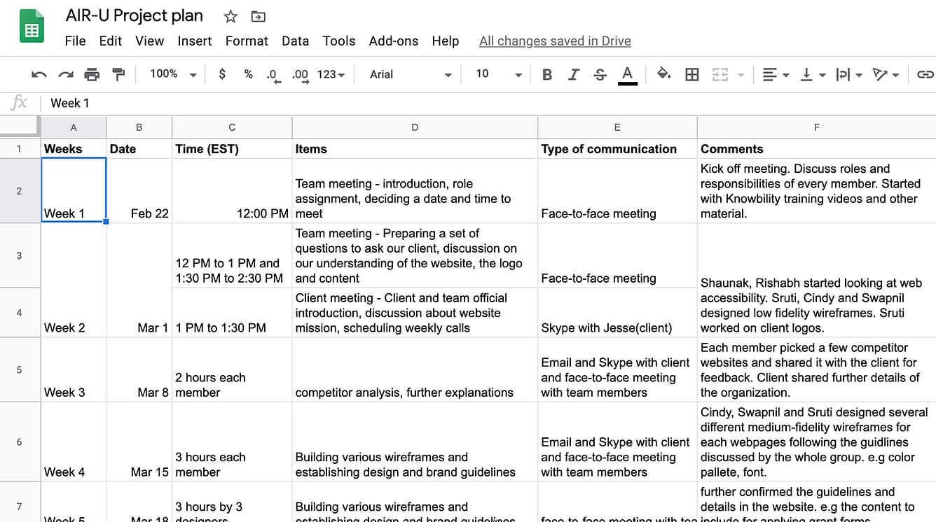 Screenshot of project plan